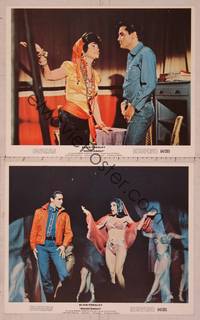 8p128 ROUSTABOUT 2 color 8x10 stills '64 Elvis Presley on stage with half-dressed girls!