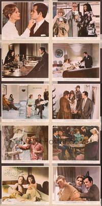8p017 SEVERED HEAD 10 color 8x10 stills '71 Lee Remick, Richard Attenborough, Ian Holm, Bloom