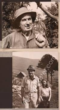8p306 RUN WILD RUN FREE 2 English 8x10 stills '69 John Mills with young girl, guy holding bird!