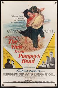 8t944 VIEW FROM POMPEY'S HEAD 1sh '55 Dana Wynter accidentally finds out her husband's a Negro!