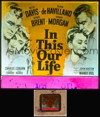 8v040 IN THIS OUR LIFE glass slide '42 Bette Davis, Olivia De Havilland, Brent, Morgan,John Huston
