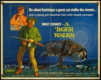9a721 TIGER WALKS 1/2sh '64 Disney, artwork of Brian Keith standing by huge prowling tiger!