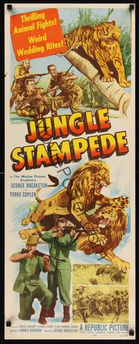 9b272 JUNGLE STAMPEDE  insert '52 cool artwork of wild jungle animals attacking + hunters!