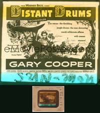 9c017 DISTANT DRUMS glass slide '51 Gary Cooper & Mari Aldon in the Florida Everglades!