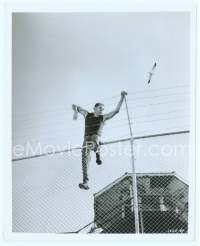 9g351 POINT BLANK 8x10 still '67 far shot of Lee Marvin climbing over from barbed-wire fence!