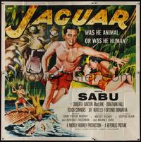 1a238 JAGUAR 6sh '55 Barton MacLane, Sabu lays with sexy Chiquita + art of him in jungle!