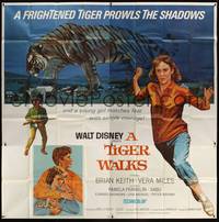 1a343 TIGER WALKS 6sh '64 Walt Disney, art of Brian Keith standing by huge prowling tiger!