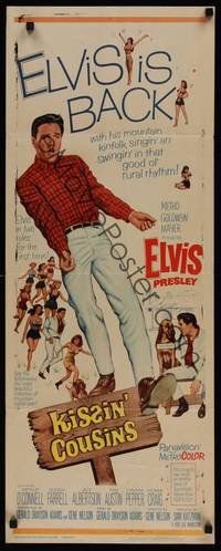 1h330 KISSIN' COUSINS insert '64 full-length artwork of hillbilly Elvis Presley!