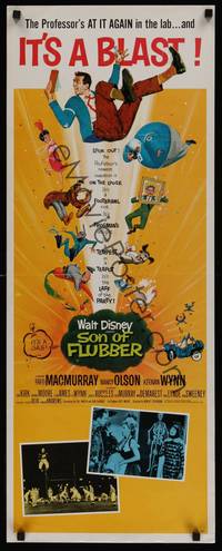 1h533 SON OF FLUBBER insert '63 Walt Disney, art of absent-minded professor Fred MacMurray!
