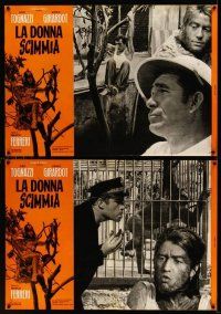 2c429 APE WOMAN 9 Italian photobustas '64 La donna scimmia, French/Italian sideshow sex!