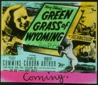 2r134 GREEN GRASS OF WYOMING glass slide '48 pretty Peggy Cummins & Charles Coburn!