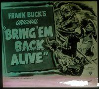 2v172 BRING 'EM BACK ALIVE glass slide R48 cool different art of Frank Buck & jungle tiger!