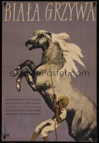 2w229 WHITE MANE Polish 23x33 '53 cool Ludwig Maciag art of boy struggling w/horse!