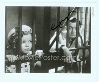 2x048 STOWAWAY signed 8x10 still '36 by Robert Young, who's in jail with Shirley Temple!
