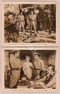2y681 JUNGLE MAN-EATERS 2 8x10 stills '54 Johnny Weissmuller as Jungle Jim, Karin Booth!