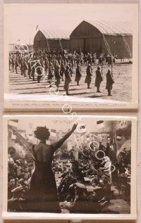 2y641 WOMAN I LOVE 3 8x10 stills '37 Louis Hayward, cool images of marching soldiers & showgirl!