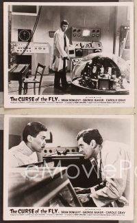 2y140 CURSE OF THE FLY 6 English FOH LCs '65 Brian Donlevy, English sci-fi monster sequel!