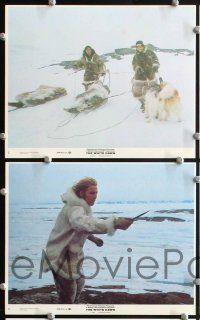 2y047 WHITE DAWN 8 8x10 mini LCs '74 Warren Oates, Timothy Bottoms & Lou Gossett in Arctic Canada!