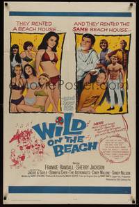3c981 WILD ON THE BEACH 1sh '65 Frankie Randall, Sherry Jackson, Sonny & Cher, teen rock & roll!