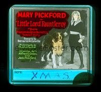 3m138 LITTLE LORD FAUNTLEROY glass slide '21 Mary Pickford dressed as a boy with her big dog!