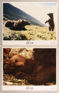 3p086 BEAR 8 LCs '89 Jean-Jacques Annaud's L'Ours, great images of bears!