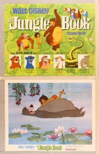 3p025 JUNGLE BOOK 9 LCs '67 Walt Disney cartoon classic, great images of all characters!