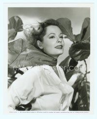 3s225 JANE GREER 8.25x10 still '57 waist-high portrait of the pretty actress with wind-blown hair!