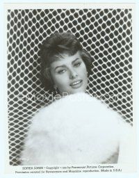 3s449 SOPHIA LOREN 8x10 still '59 great sexy portrait wearing fur against net background!