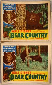3v559 BEAR COUNTRY 2 LCs '53 Disney True-Life Adventure, cool bear border artwork!