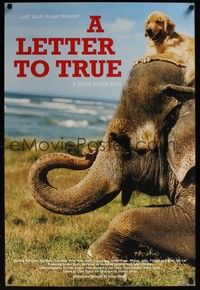 3y290 LETTER TO TRUE special 24x36 '04 cool image dog riding on top of baby elephant!