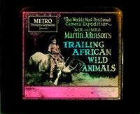 3z134 TRAILING AFRICAN WILD ANIMALS glass slide '23 Mrs. Osa Johnson with rhino she shot!