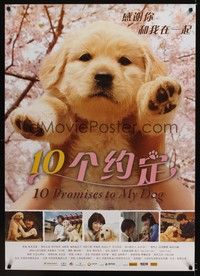 4b440 10 PROMISES TO MY DOG Chinese '08 Inu to watashi no 10 no yakusoku, cute image!