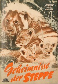 4j230 AFRICAN LION German program '56 Walt Disney jungle safari, many different animal images!