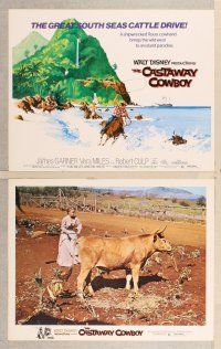 4m071 CASTAWAY COWBOY 8 LCs '74 Disney, art of James Garner with lasso in Hawaii on horse in water!