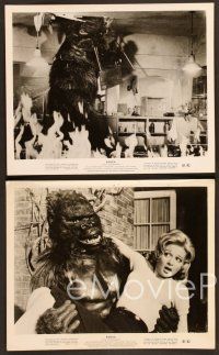 4p275 KONGA 13 8x10 stills '61 great images of giant angry ape terrorizing city!