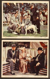 4p171 IT'S A DOG'S LIFE 7 color 8x10 stills '55 Wildfire the wonder dog, cool dog show images!