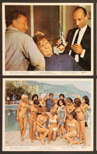 4p174 LIQUIDATOR 7 color 8x10 stills '66 Rod Taylor, Trevor Howard, Jill St. John & sexy spy babes