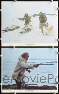 4p158 WHITE DAWN 8 8x10 mini LCs '74 Warren Oates, Timothy Bottoms & Lou Gossett in Arctic Canada!