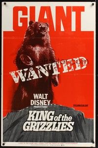 4r513 KING OF THE GRIZZLIES teaser 1sh '70 Walt Disney, great artwork of giant bear!