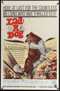 4r524 LAD A DOG 1sh '61 wonderful close up full-length Collie dog artwork!