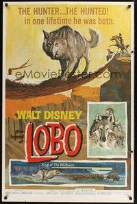 4r550 LEGEND OF LOBO 1sh '63 Walt Disney, King of the Wolfpack, cool artwork of wolf being hunted!