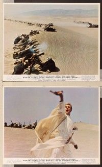 5c020 LAWRENCE OF ARABIA 12 color 8x10 stills R71 David Lean classic starring Peter O'Toole!