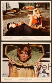 5c032 MODESTY BLAISE 10 color 8x10 stills '66 Losey, sexiest female secret agent Monica Vitti!