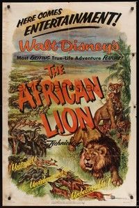 5m030 AFRICAN LION 1sh '55 Walt Disney jungle safari!