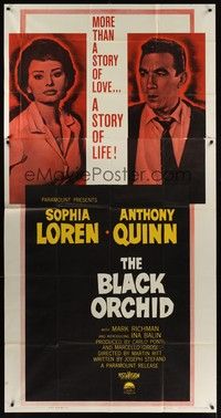 5p425 BLACK ORCHID 3sh '59 Anthony Quinn, Sophia Loren, a story of love directed by Martin Ritt!