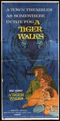 5p722 TIGER WALKS 3sh '64 Walt Disney, art of Brian Keith standing by huge prowling tiger!