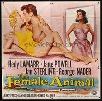 5p154 FEMALE ANIMAL 6sh '58 artwork of sexy Hedy Lamarr & Jane Powell romanced by George Nader!