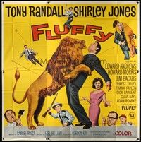 5p159 FLUFFY 6sh '65 great art of huge lion & Tony Randall w/pretty Shirley Jones!