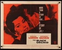 5w042 BLACK ORCHID style A 1/2sh '59 Anthony Quinn, Sophia Loren, a story of love, by Martin Ritt!