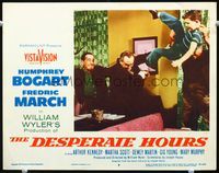 5z241 DESPERATE HOURS LC #8 '55 Humphrey Bogart hits Fredric March with gun, William Wyler